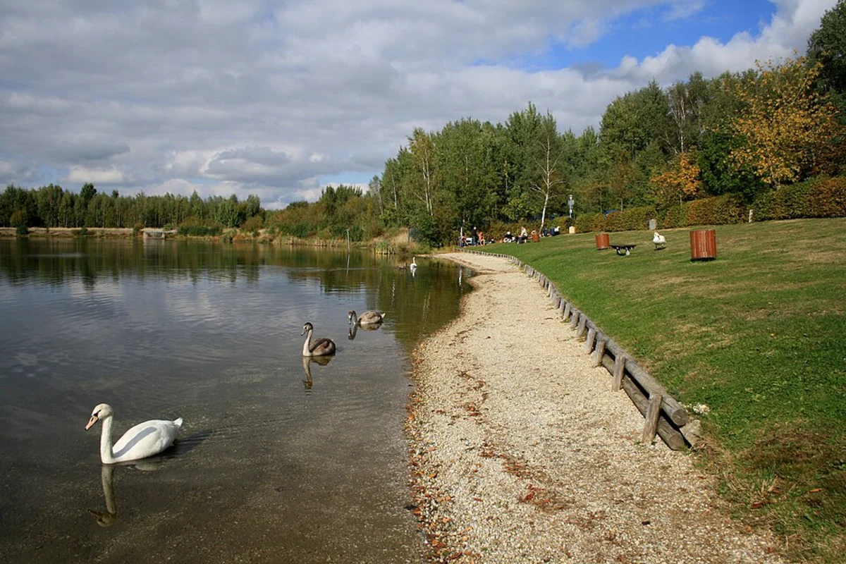 Stauweiher Loop - Werdauer Wald