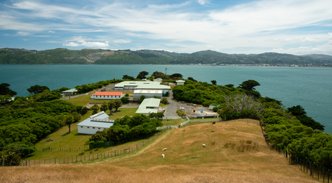 Matiu - Somes Island Loop Track