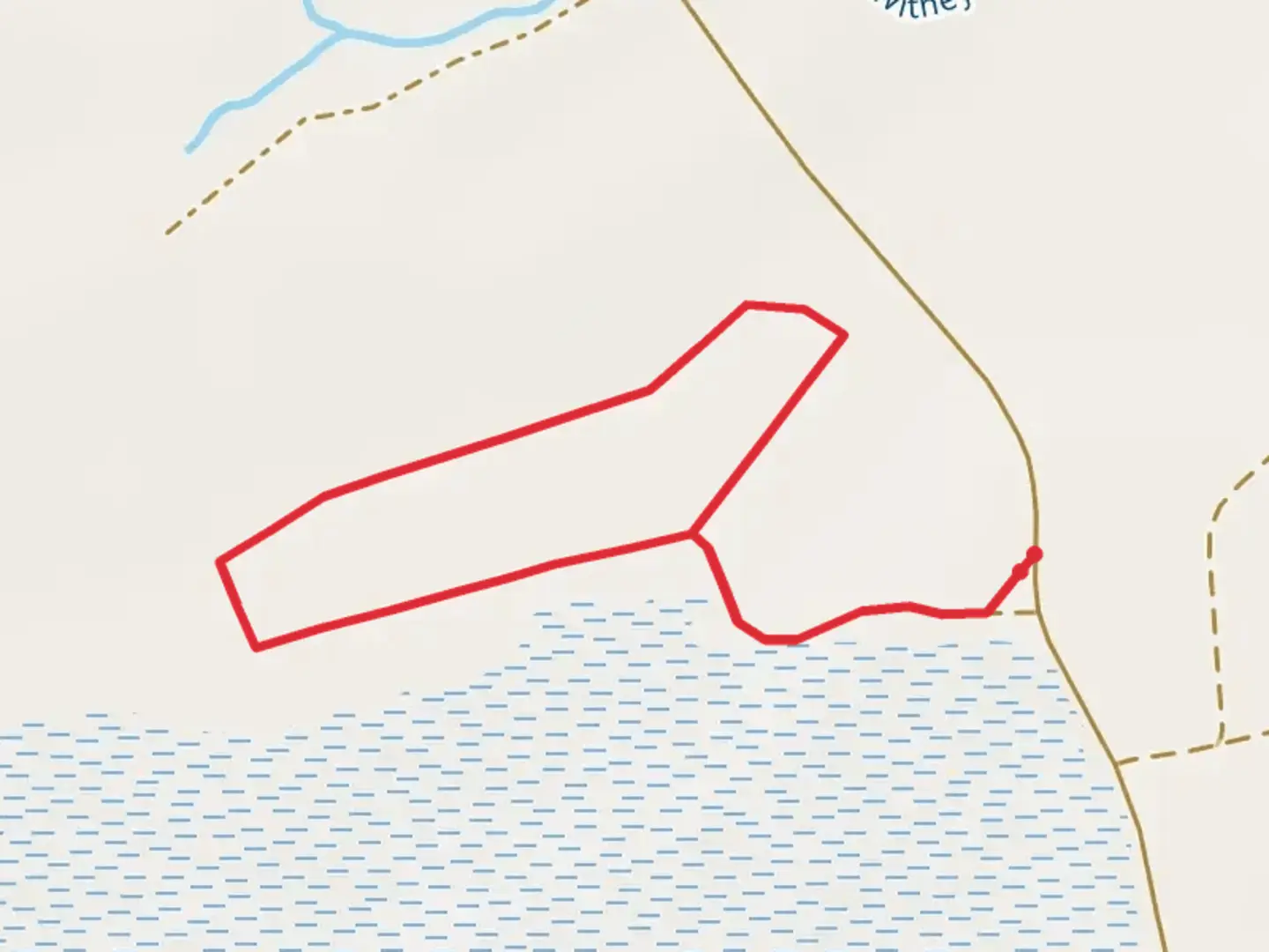 An image depicting the trail I'on Swamp Interpretive Trail and its surrounding area.