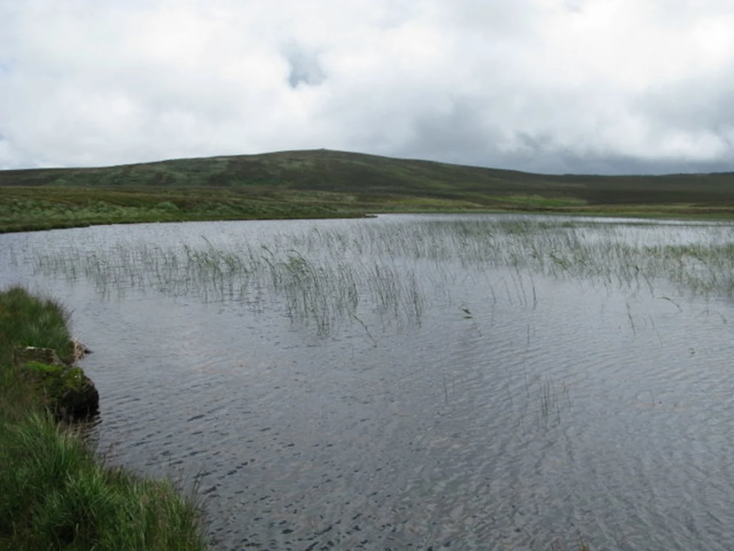 An image depicting the trail Collin Top and Carncormick Loop from Cargan and its surrounding area.
