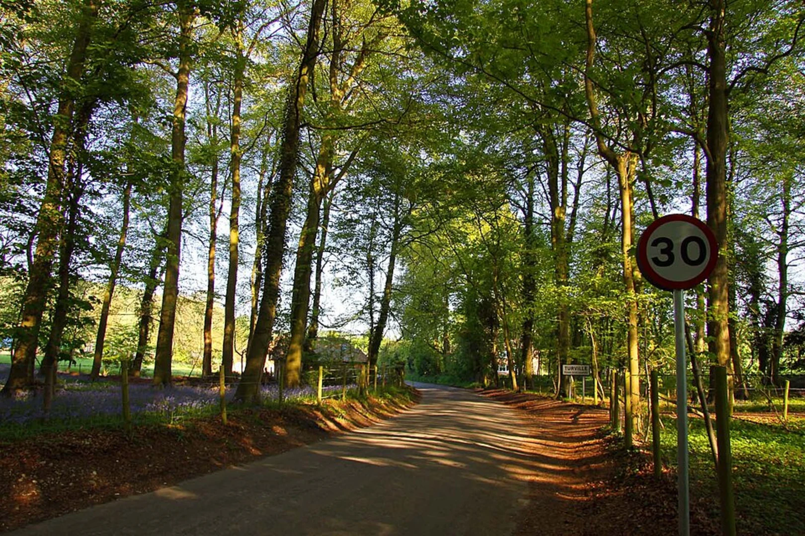 An image depicting the trail Skirmett and Hambleden Lock Loop and its surrounding area.