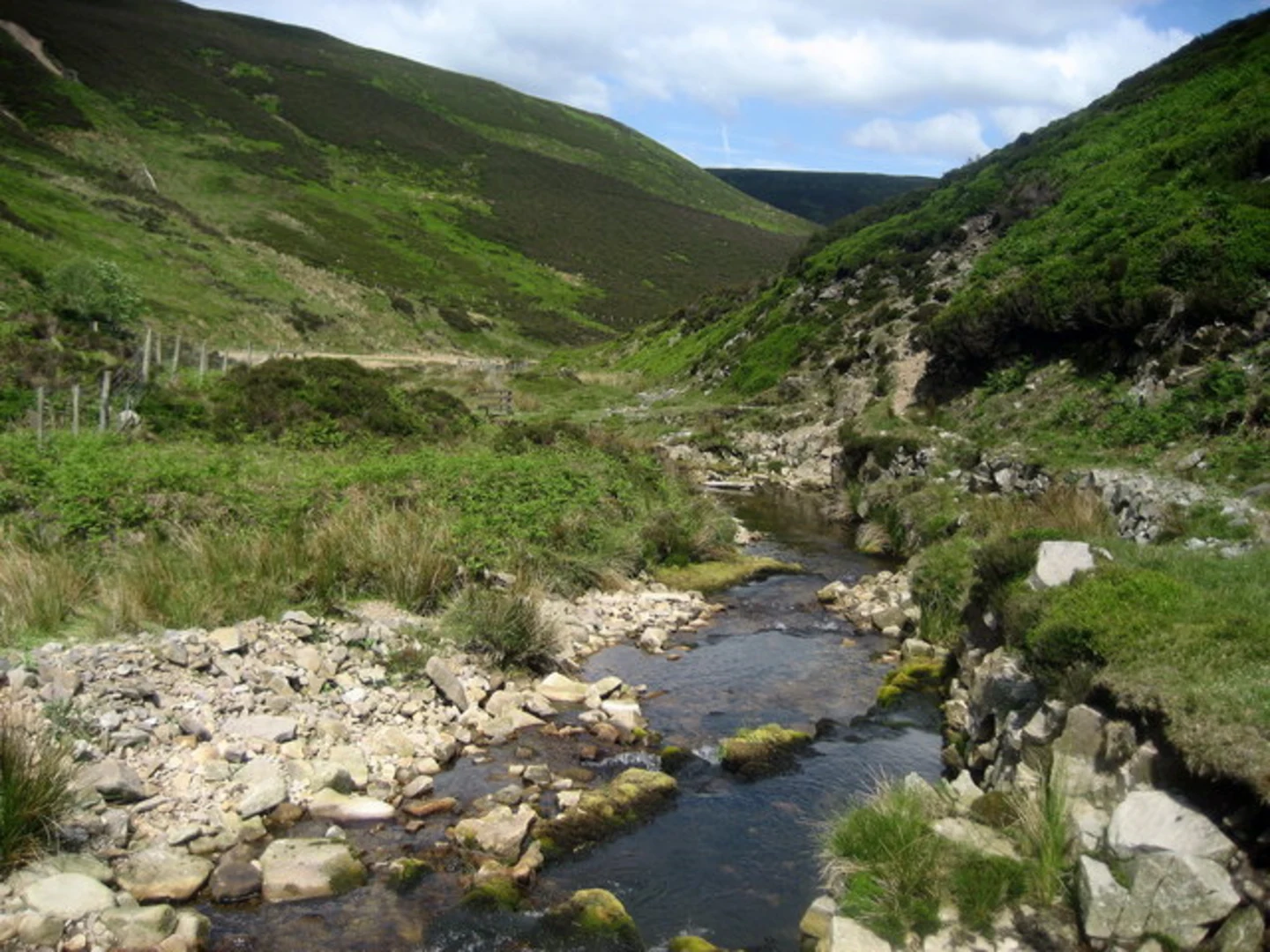 An image depicting the trail Hareden - Totridge - Bleadale Water and Langden Brook and its surrounding area.