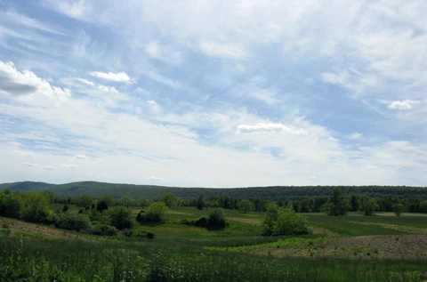 An image depicting the trail Walk Along Brush Creek and its surrounding area.