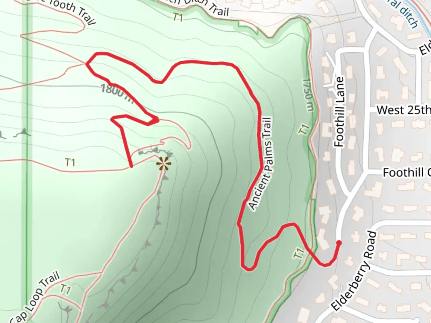 An image depicting the trail Ancient Palms Trail and Coc Tooth Trail and its surrounding area.