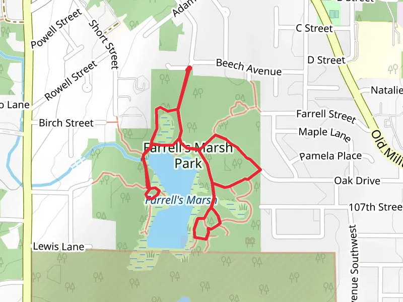 Farrell's Marsh Park Loop