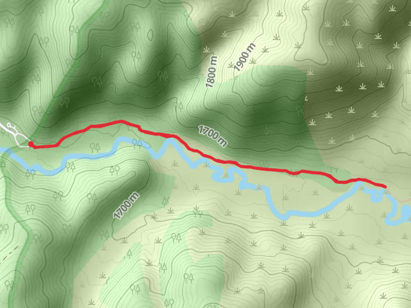 East Fork Bitterroot Trail - Short