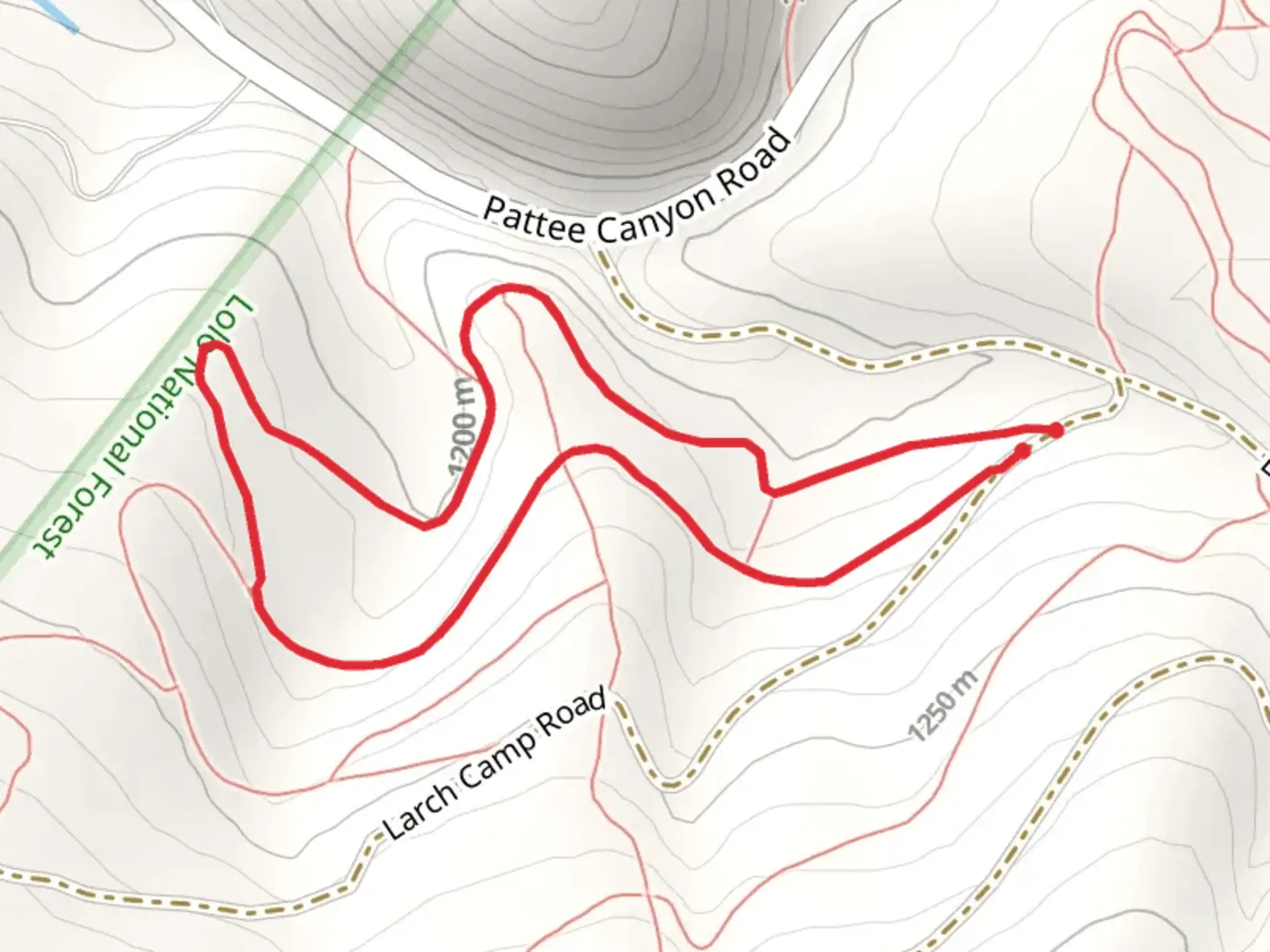 An image depicting the trail Larch Camp Cutoff B and D Loop and its surrounding area.