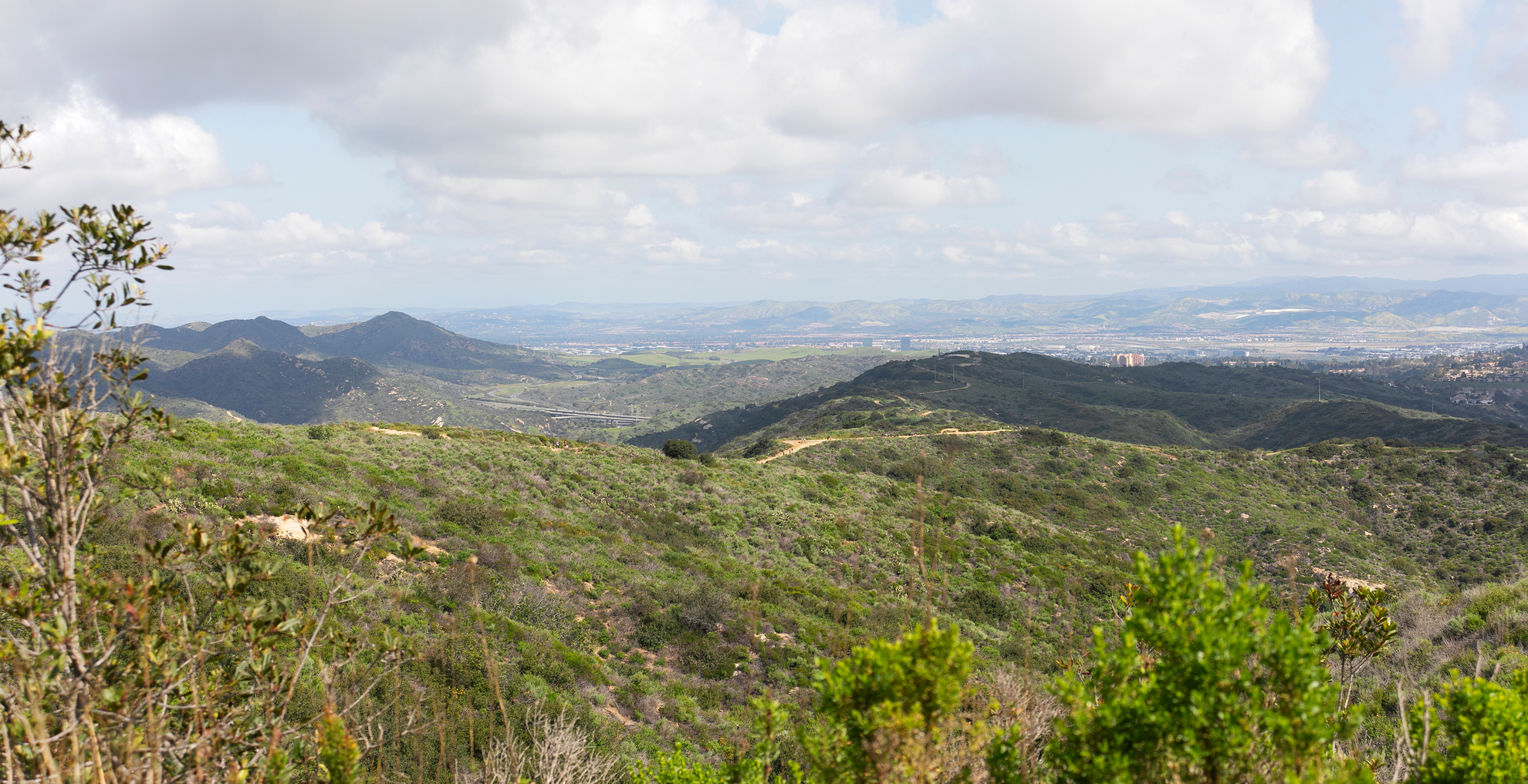An image depicting the trail Aliso Peak and its surrounding area.