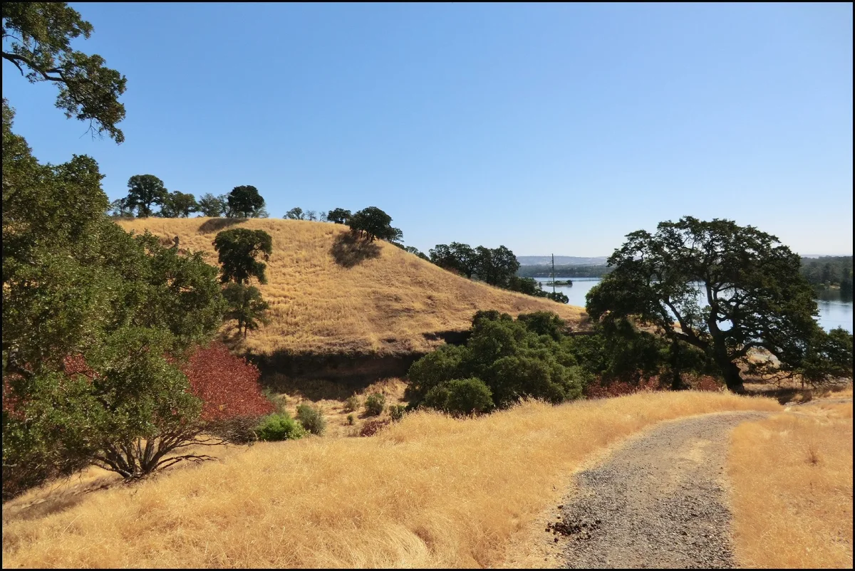 American River Trail - Short