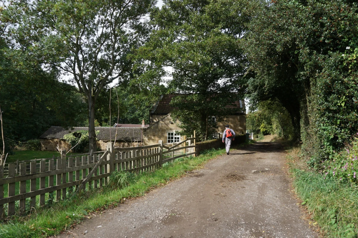 Sitwell Park Golf Course and Wickersley Gorse and Common Bank Loop