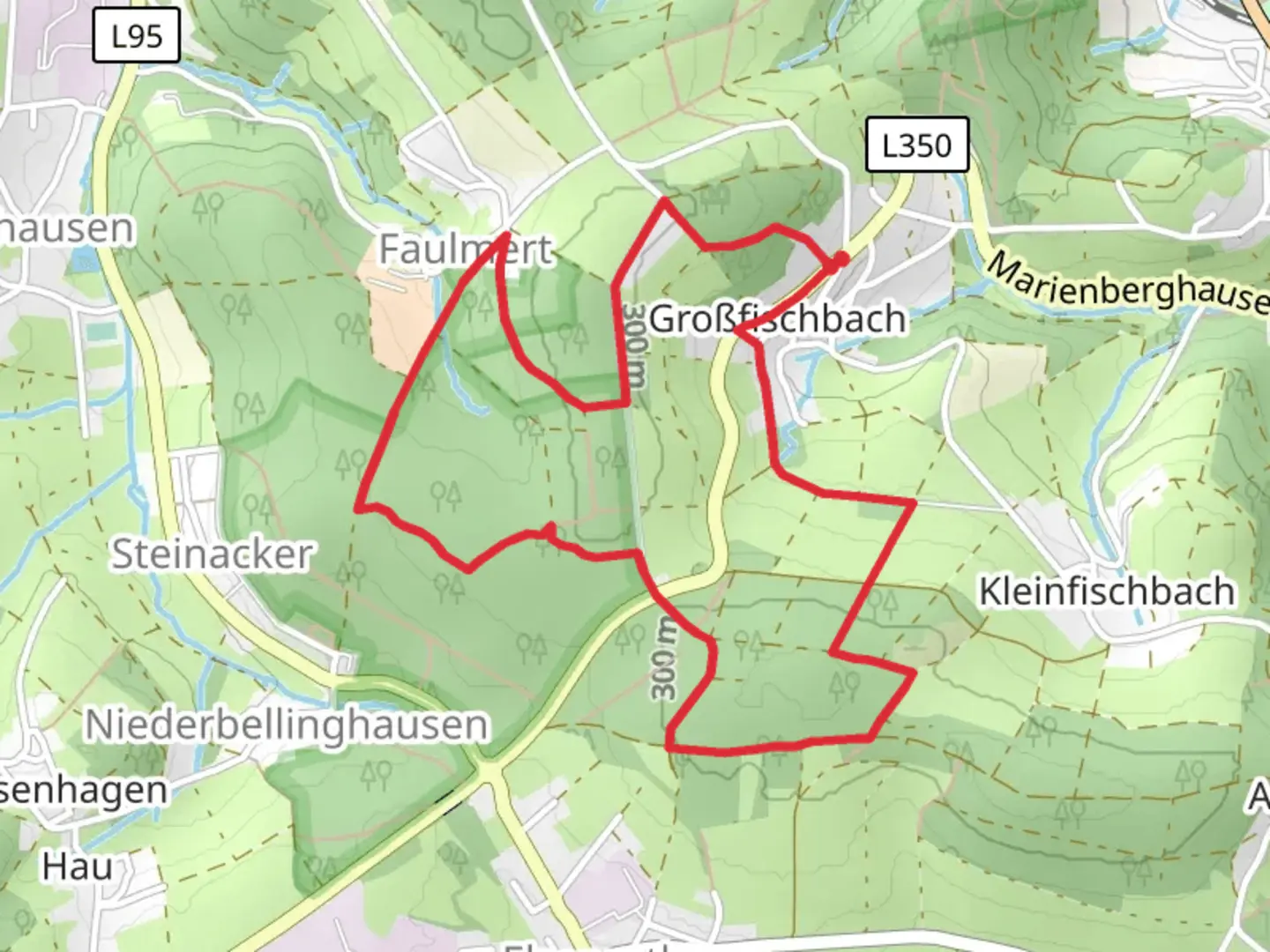 An image depicting the trail Großfischbach and Lugs ins Land Loop and its surrounding area.