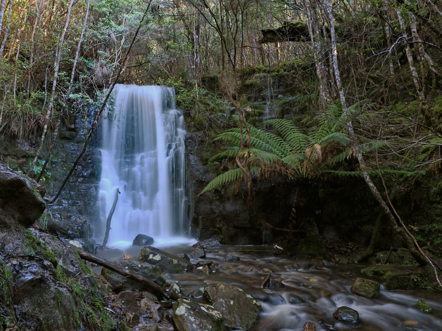 An image depicting the trail O’Gradys Falls Track and its surrounding area.