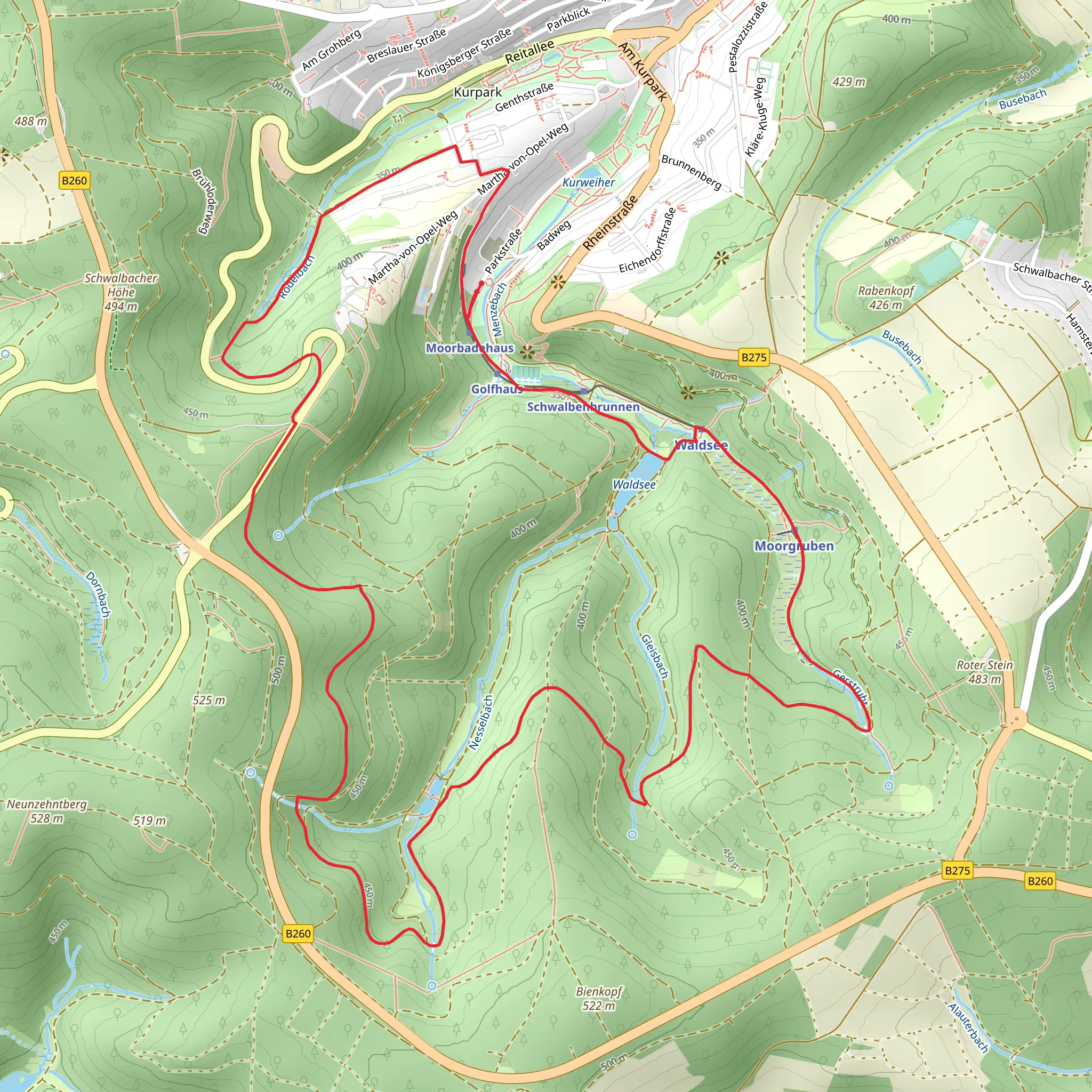 Waldsee Loop via Wanderweg Blauer Punkt mobile static map