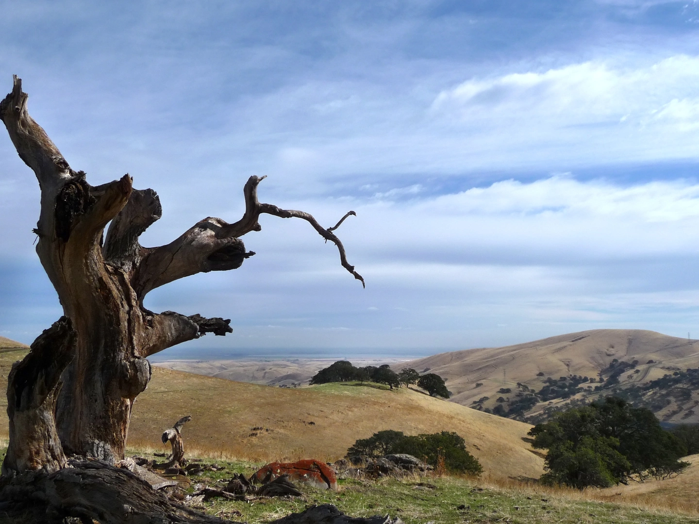 An image depicting the trail Los Vaqueros Loop Trail and its surrounding area.