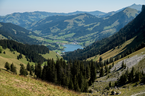 An image depicting the trail Schwarzsee-Stafel - Nr 123 and its surrounding area.