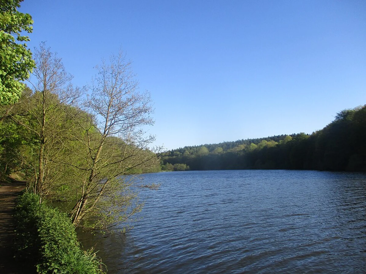 Newmillerdam Country Park Walk