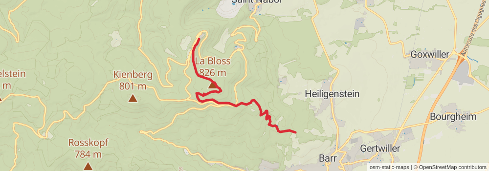 Camino Strasbourg-Saint Jean Pied de Port via Le Puy alt 1 Map