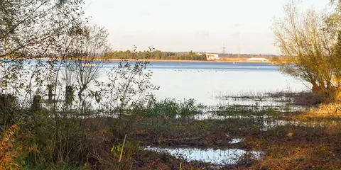 An image depicting the trail St Peter's Way and its surrounding area.