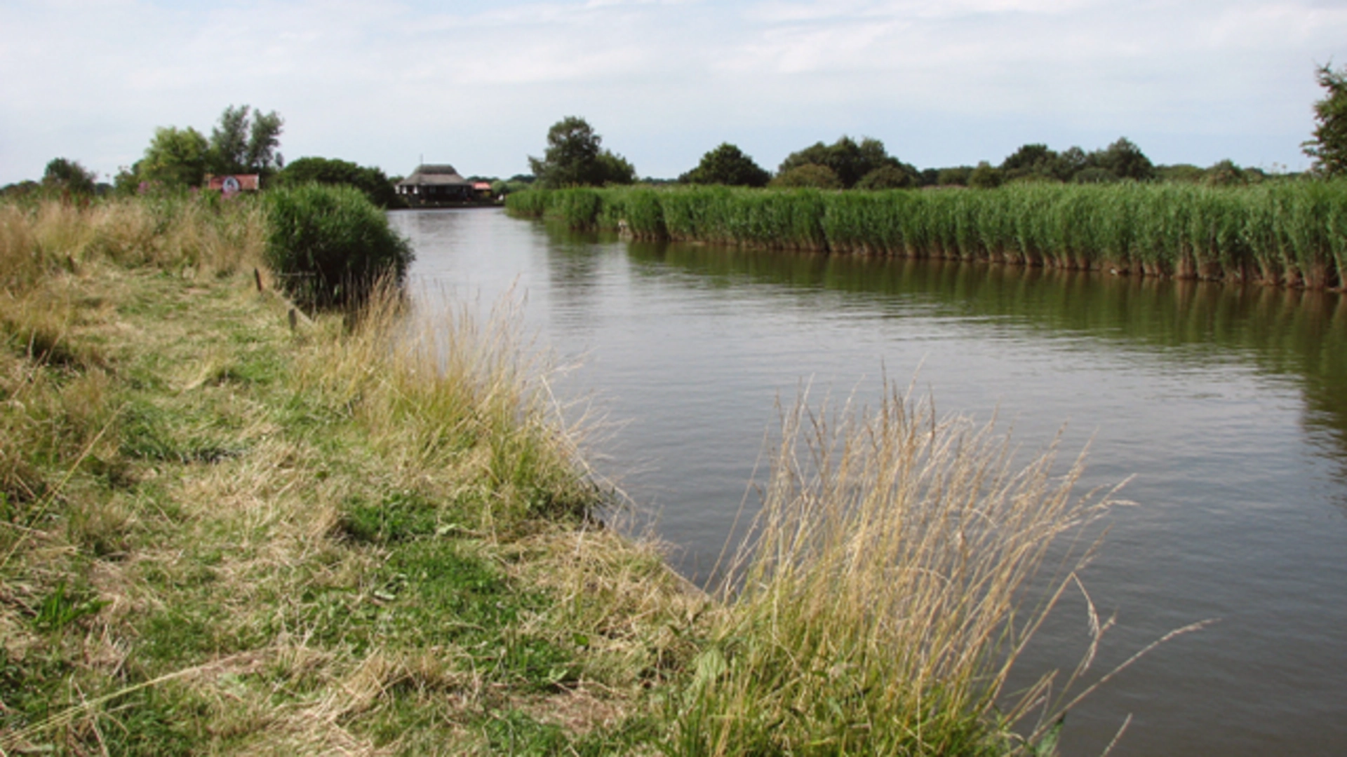 An image depicting the trail Potter Heigham Broad and Marshes Loop and its surrounding area.