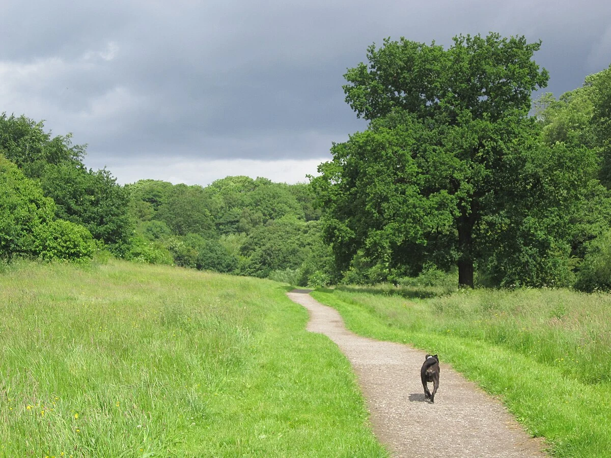 Clayhill Wood and Rivacre Valley Country Park