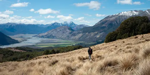 An image depicting the trail Bealey Spur Track and its surrounding area.