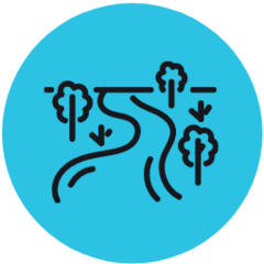 William Gibson avatar