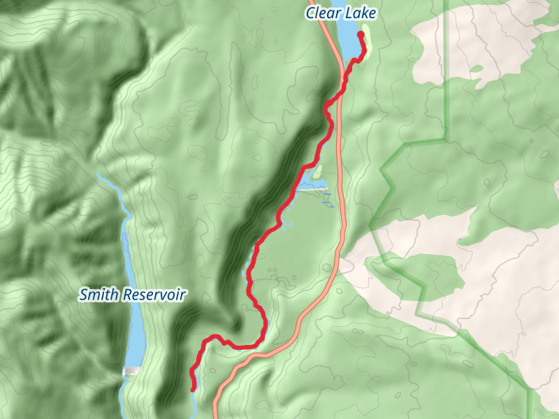 McKenzie River Trail from Clear Lake