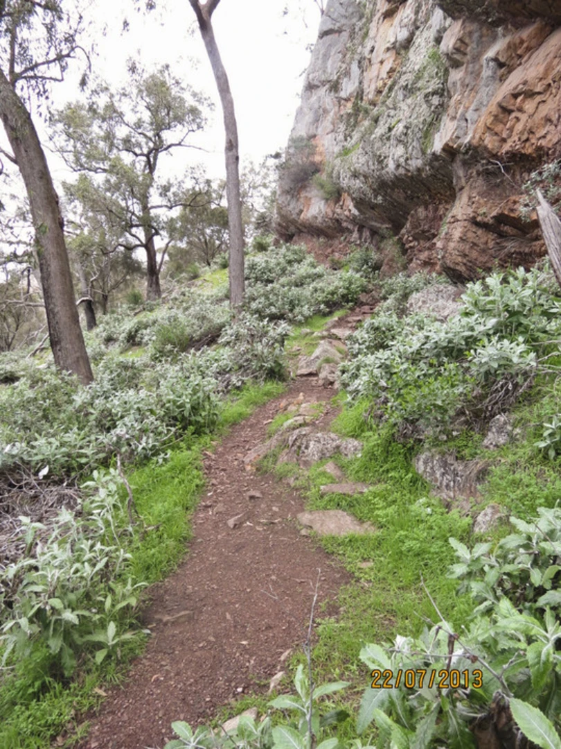 An image depicting the trail Yerong Walking Track and its surrounding area.