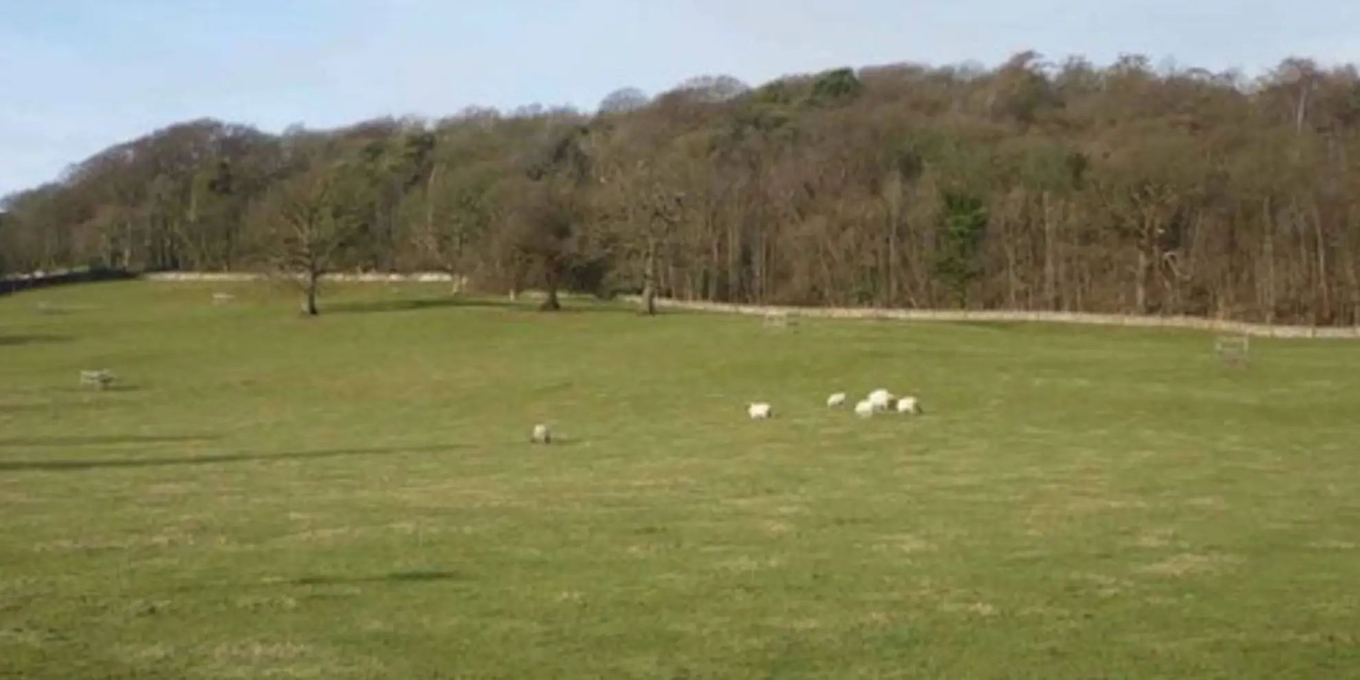 An image depicting the trail Eaves Wood Circular Walk and its surrounding area.