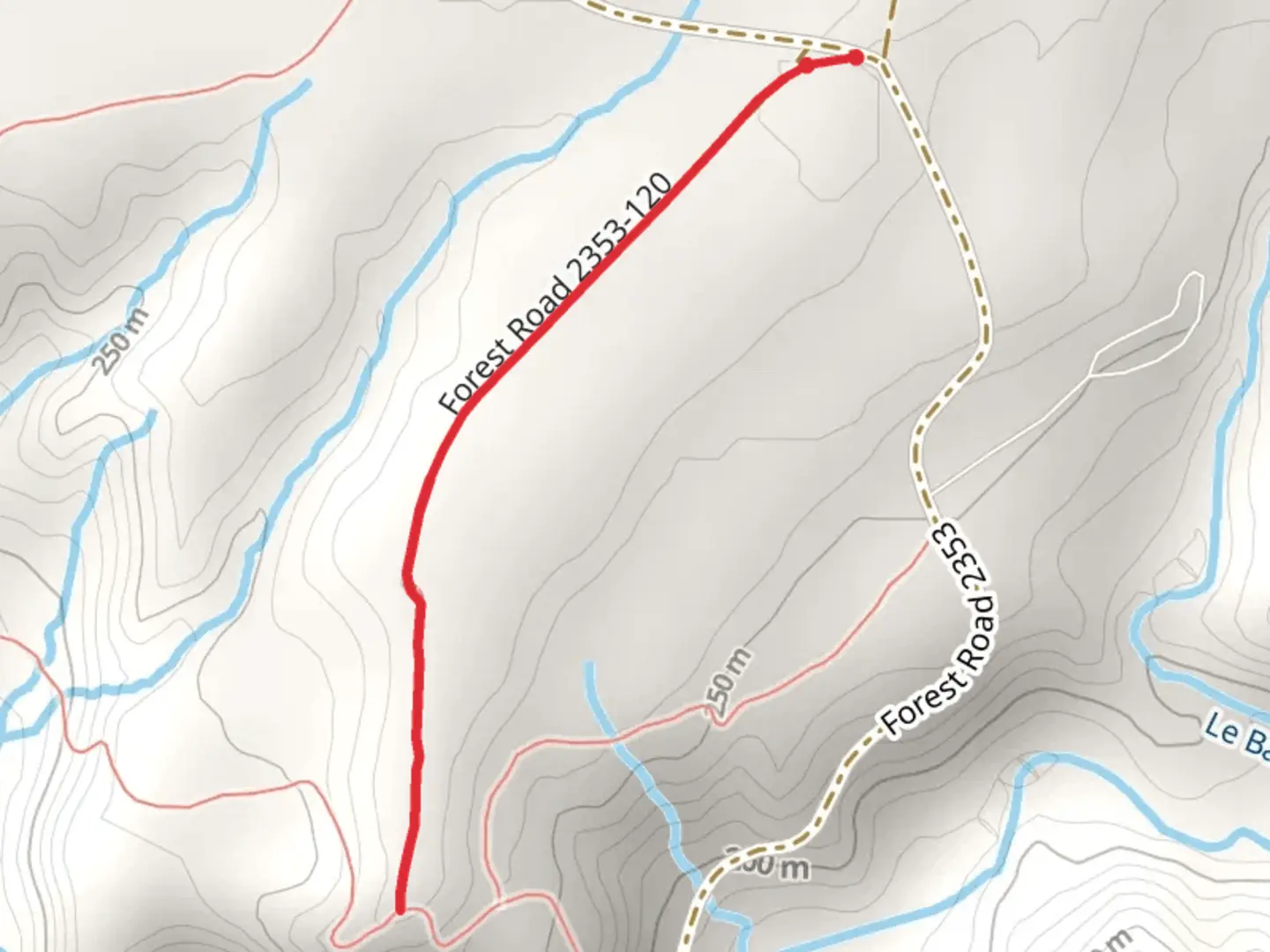 An image depicting the trail Lower SF Skokomish 120 Access Trail and its surrounding area.