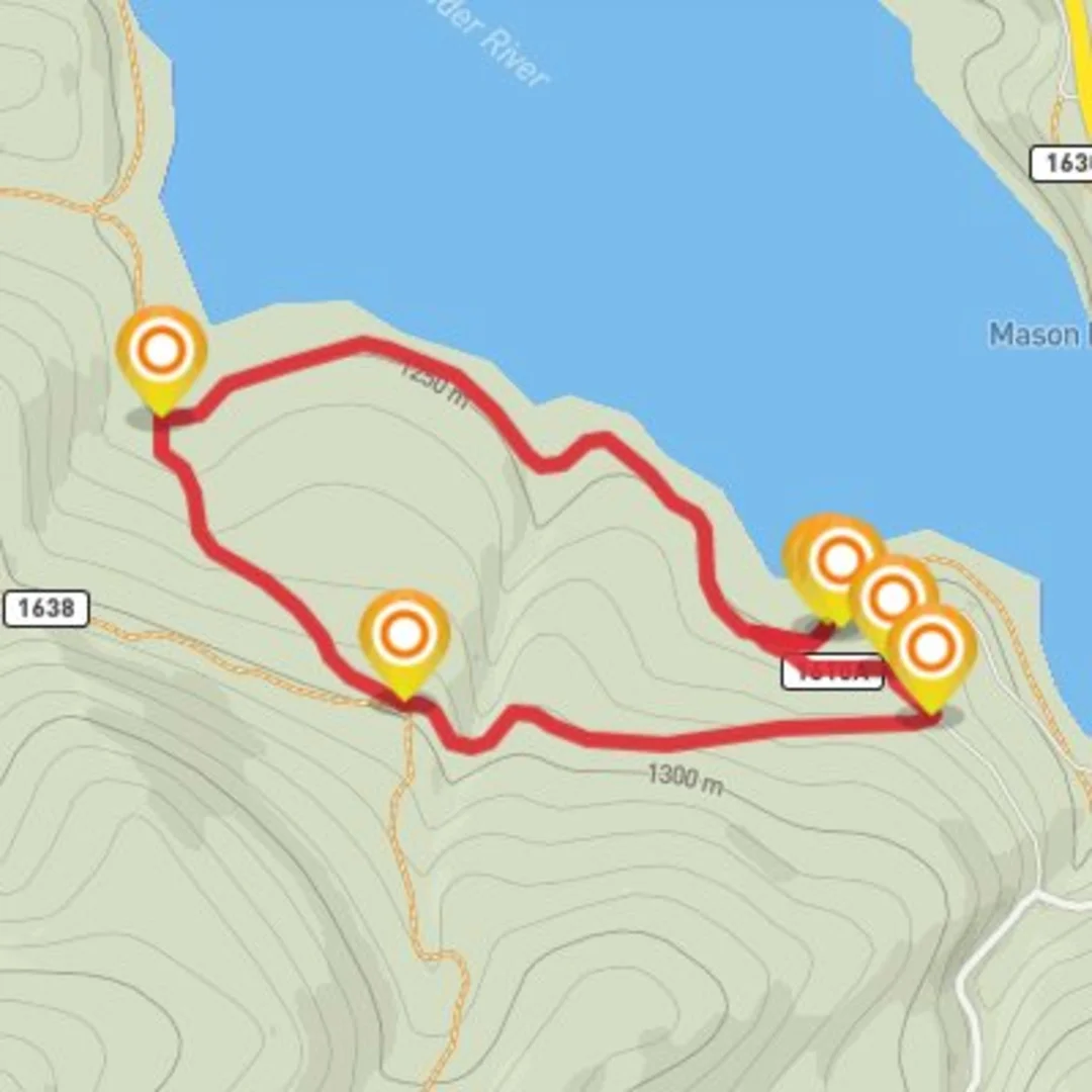 An image depicting the trail Phillips loop #1 and its surrounding area.