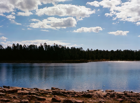 An image depicting the trail Woods Canyon Nature Trail and its surrounding area.