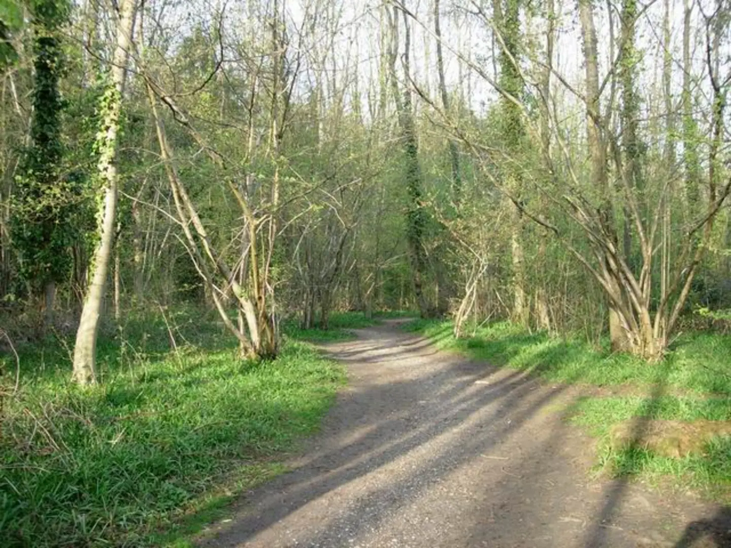 An image depicting the trail High Hill via Woodland Nature Trail and its surrounding area.