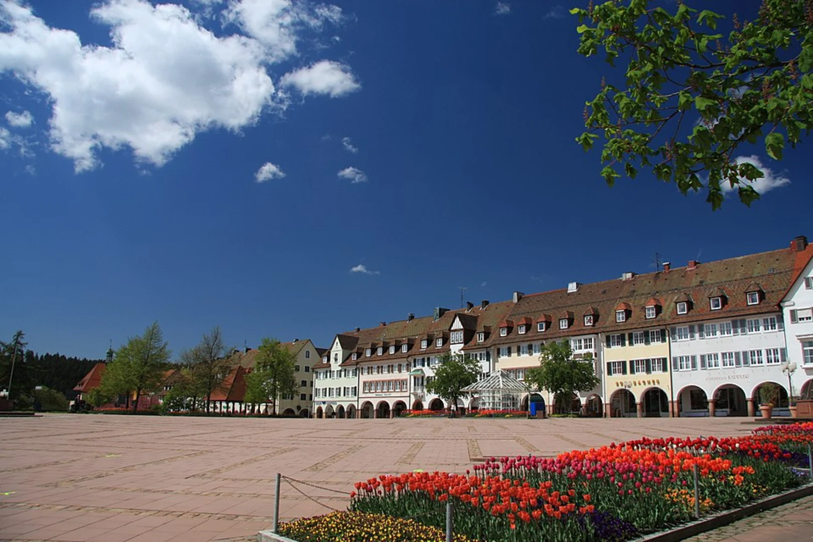 An image depicting the trail Freudenstadt - Kniebis and its surrounding area.
