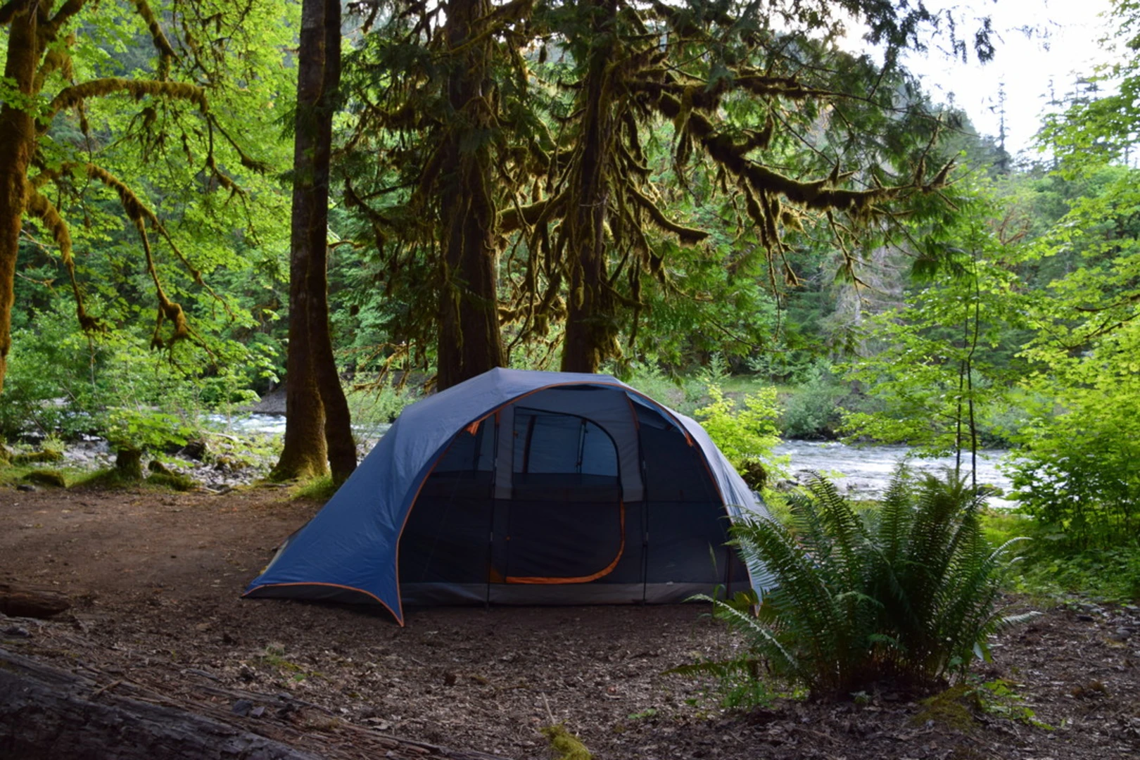 An image depicting the trail Flapjack Lake via Staircase Rapids Nature Trail and its surrounding area.