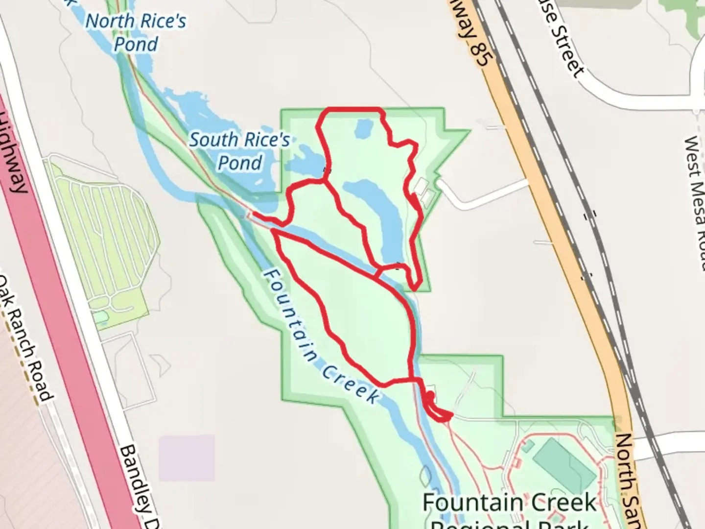 An image depicting the trail South Rice's Pond Loop and its surrounding area.