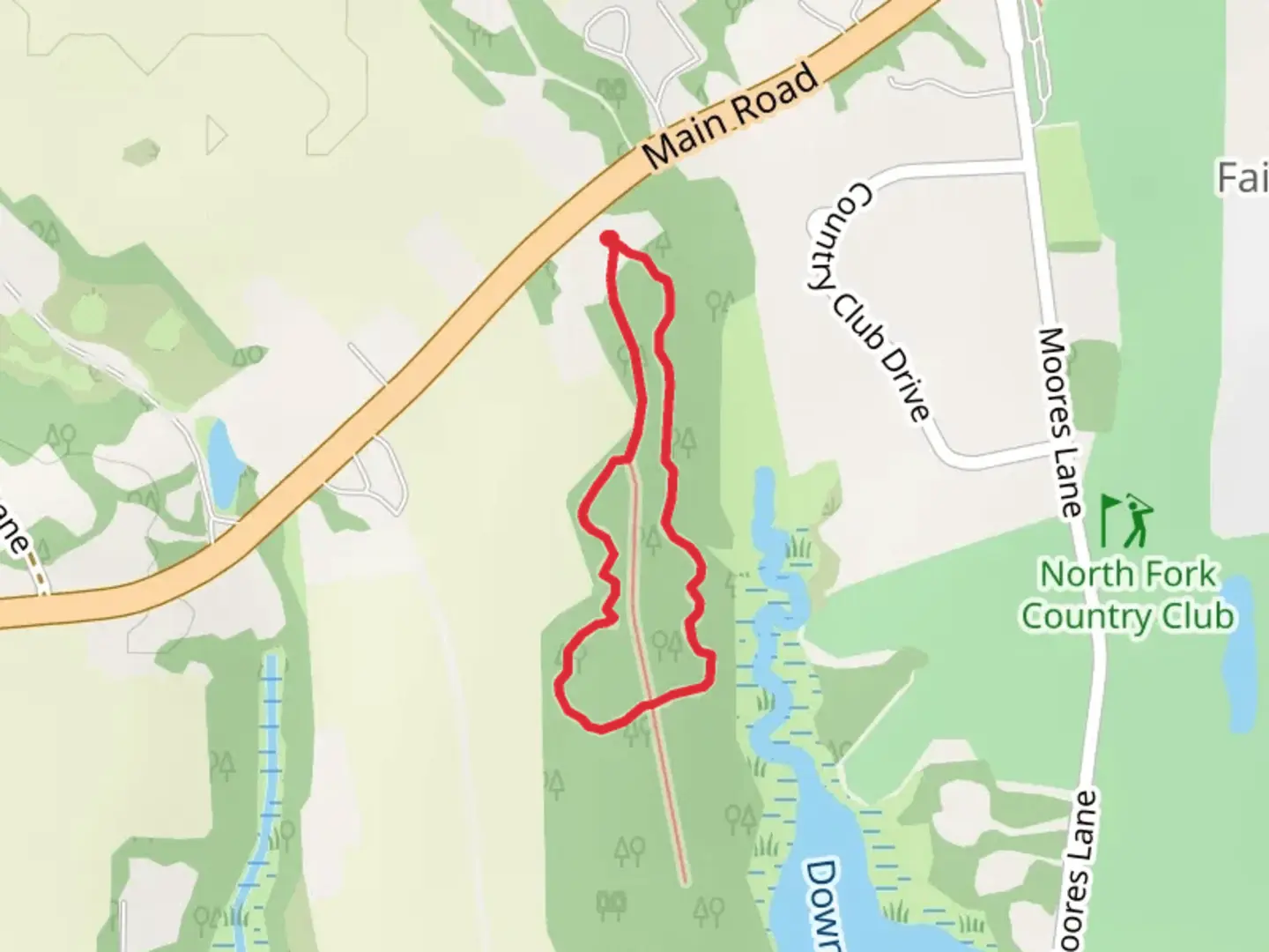 An image depicting the trail Downs Creek Loop and its surrounding area.