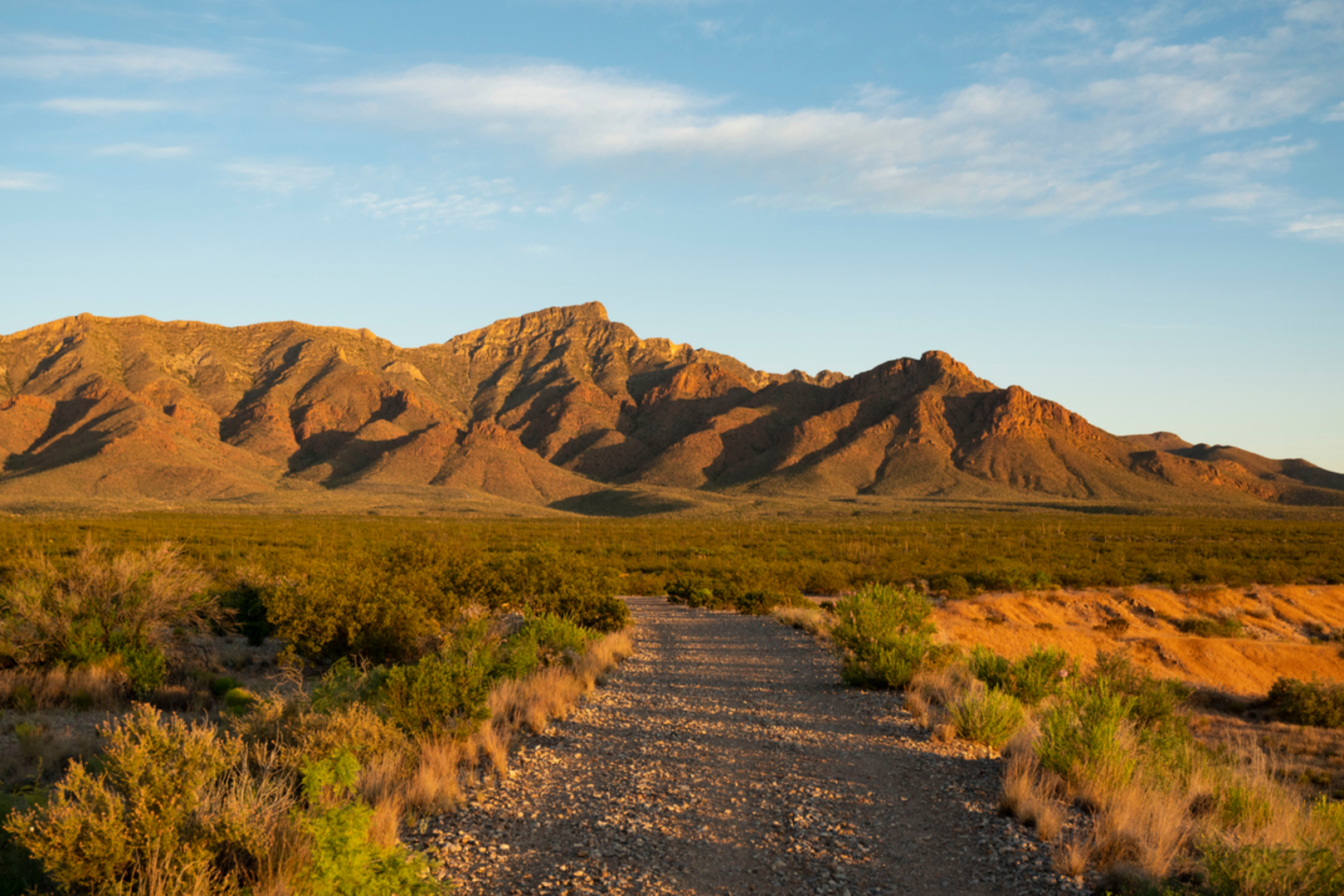 An image depicting the trail North Franklin Mountains and its surrounding area.