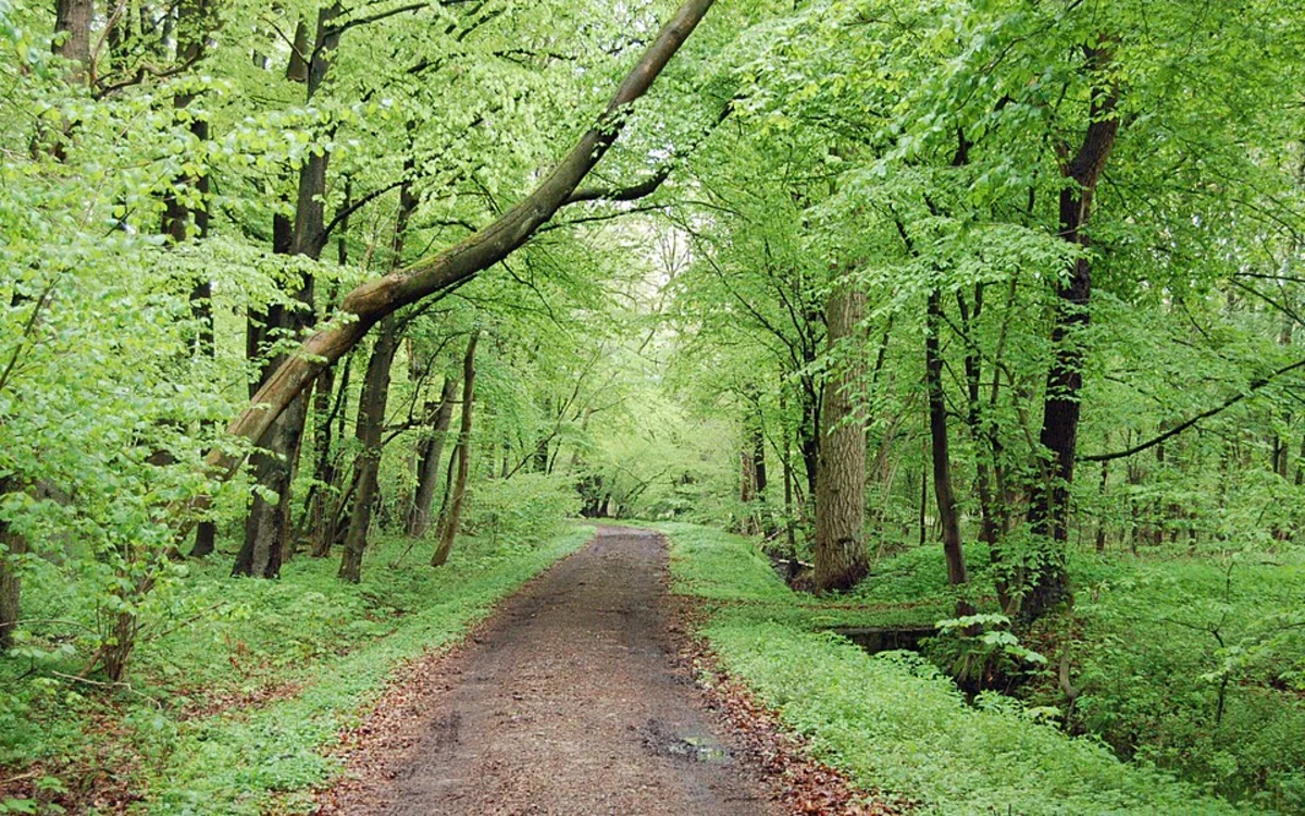 Gudower See and Sarnekower See