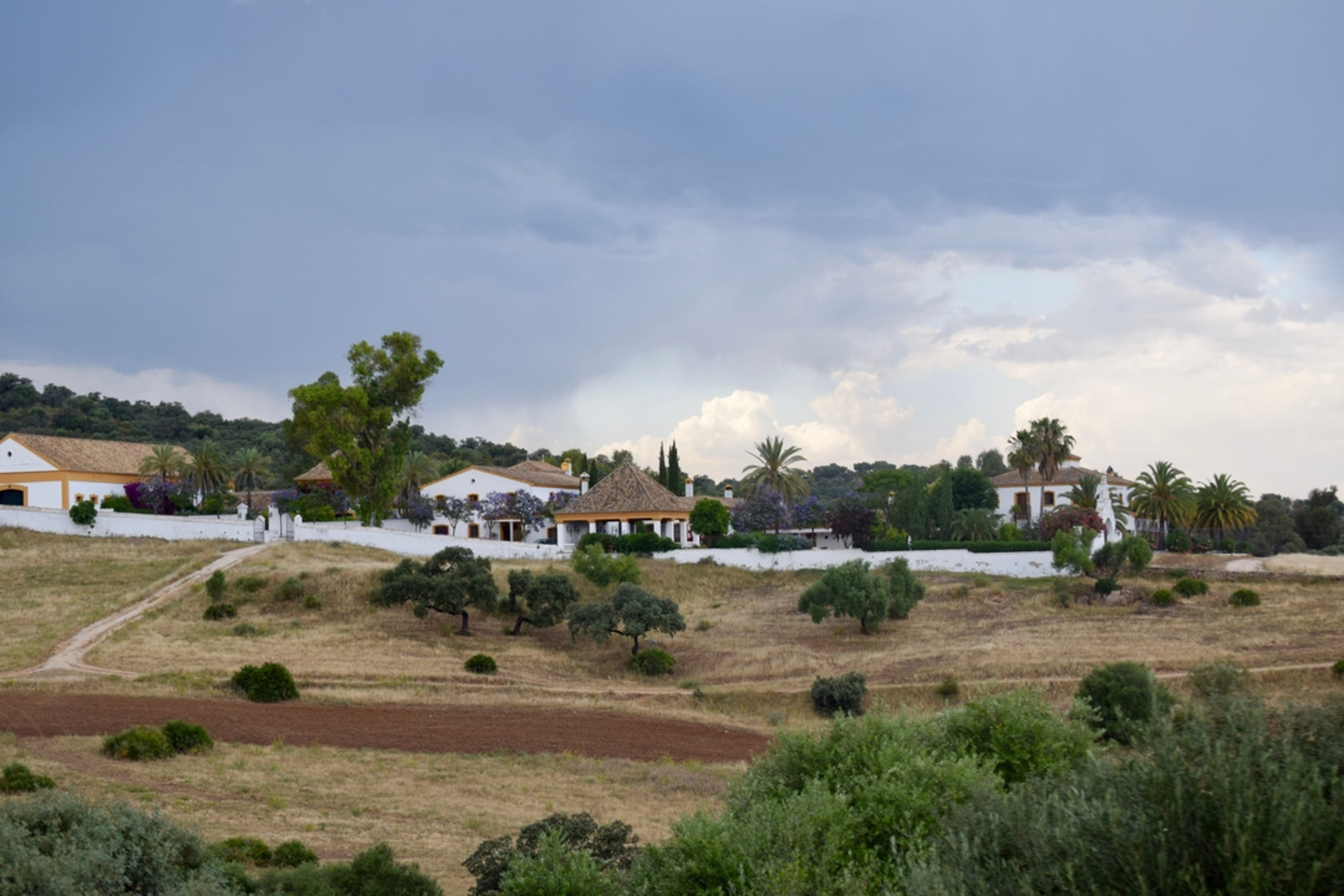 An image depicting the trail Mirador del Trevenque and its surrounding area.