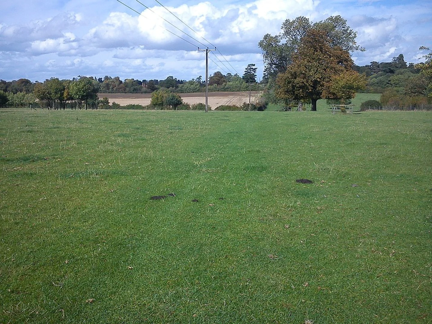 An image depicting the trail Clapham and Parkwood LNR via John Bunyan Trail and its surrounding area.