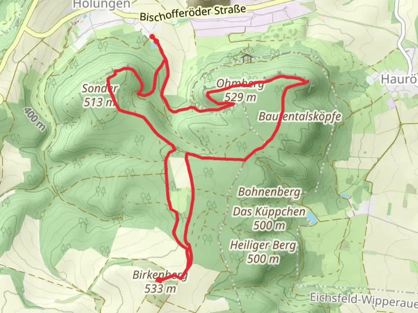 An image depicting the trail Birkenberg via Harz-Hainlaite Wanderweg and its surrounding area.