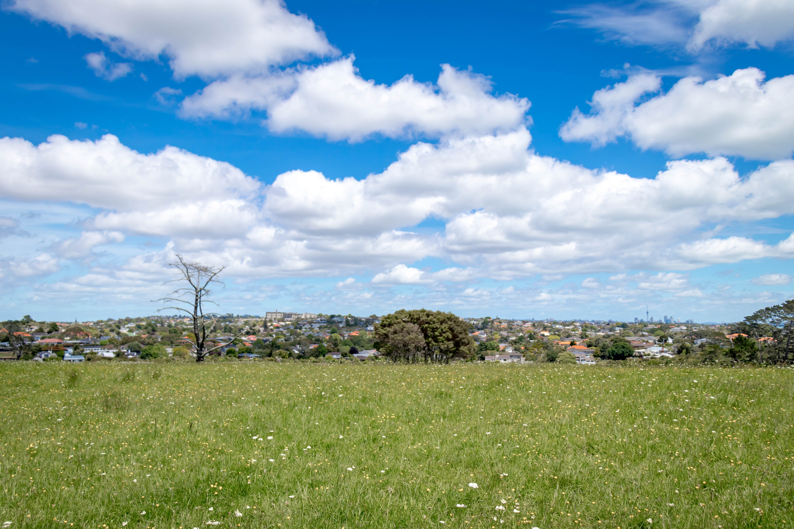 An image depicting the trail Churchill Park and its surrounding area.