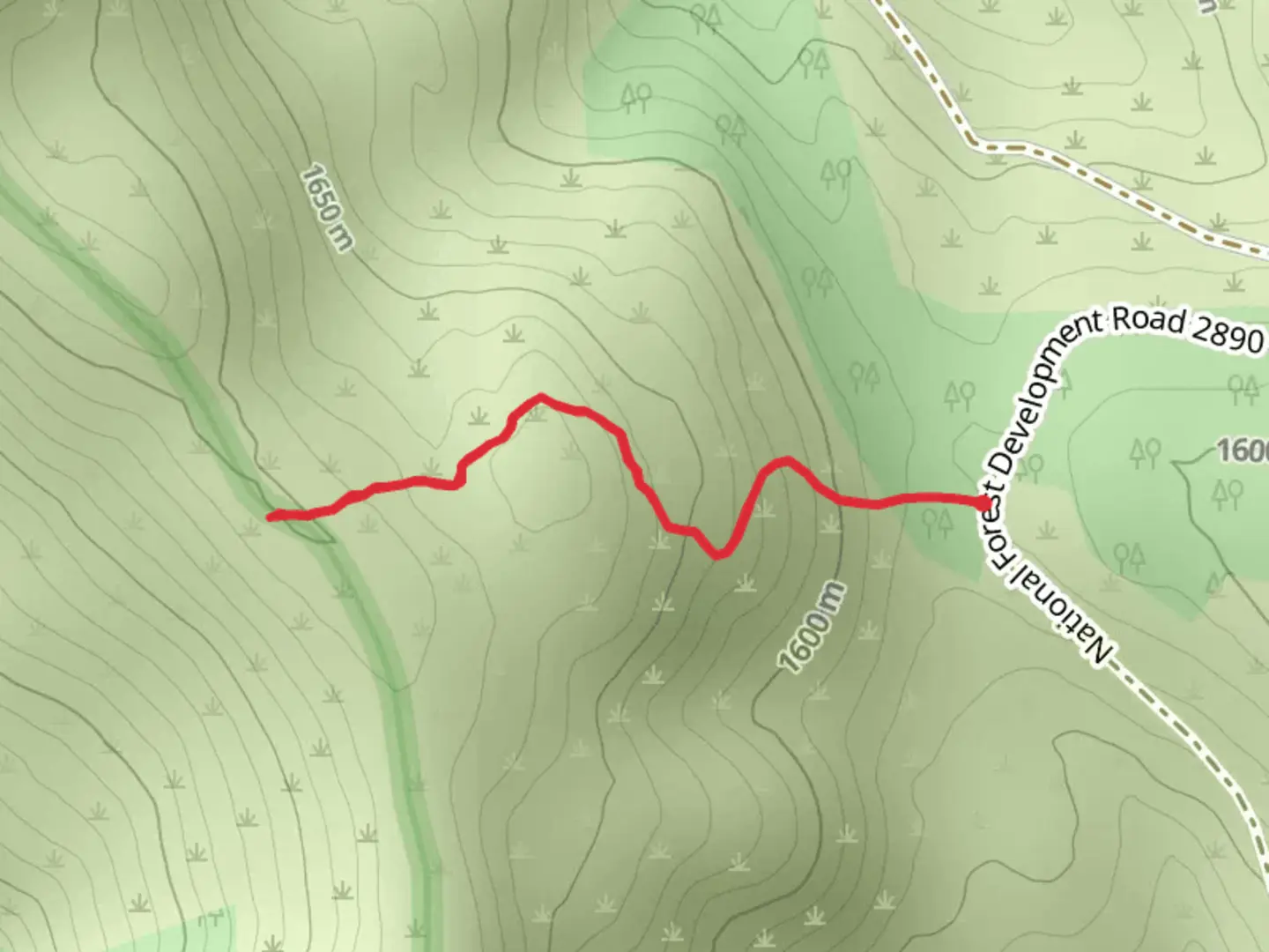 An image depicting the trail Dunsire Pass Trail and its surrounding area.