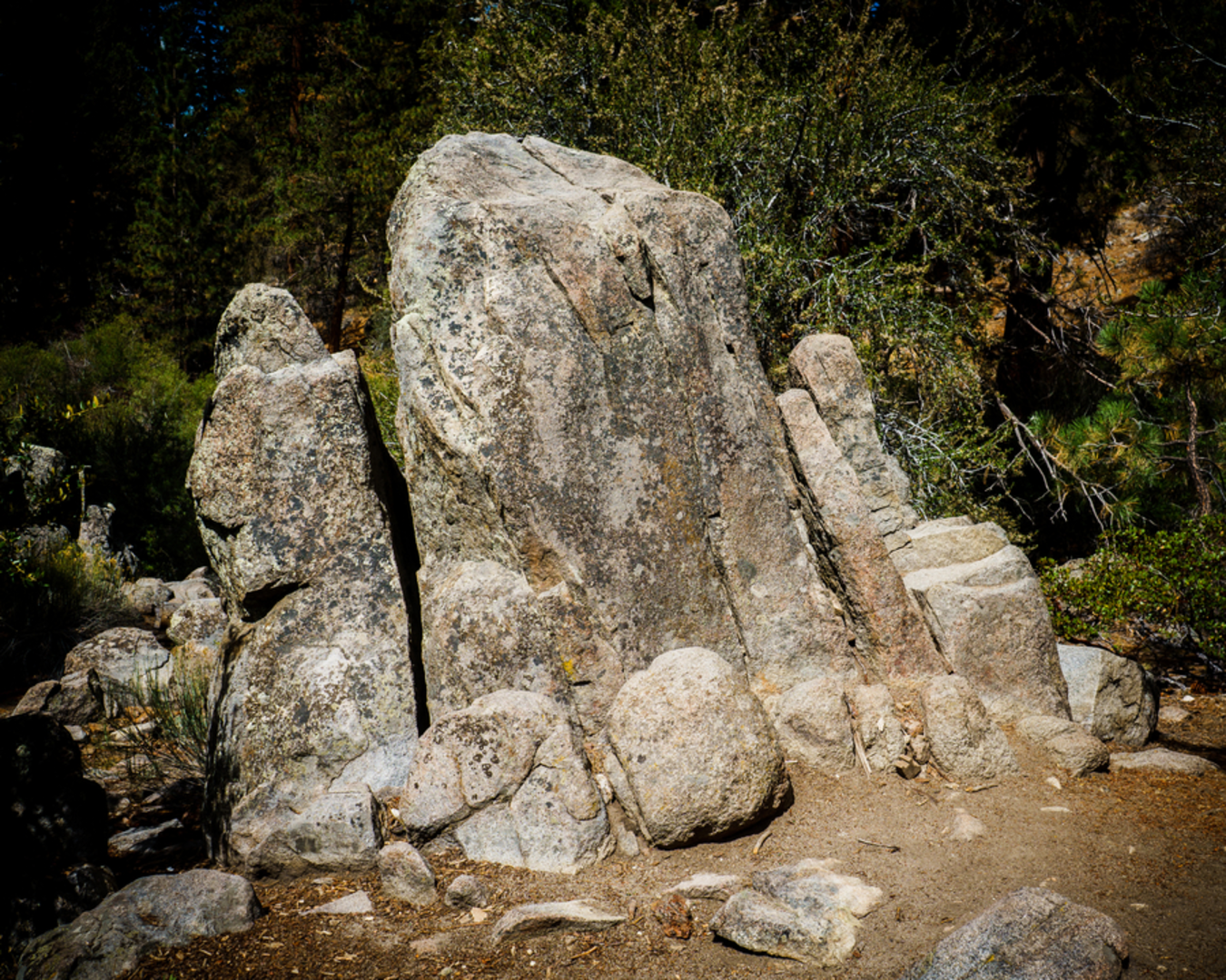An image depicting the trail Bear Lake Woodland Trail and its surrounding area.