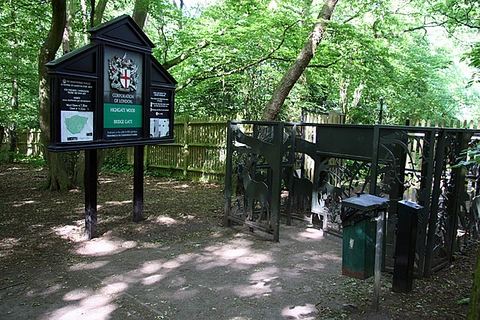 An image depicting the trail Highgate Wood and Parkland Walk Local Nature Reserve and its surrounding area.