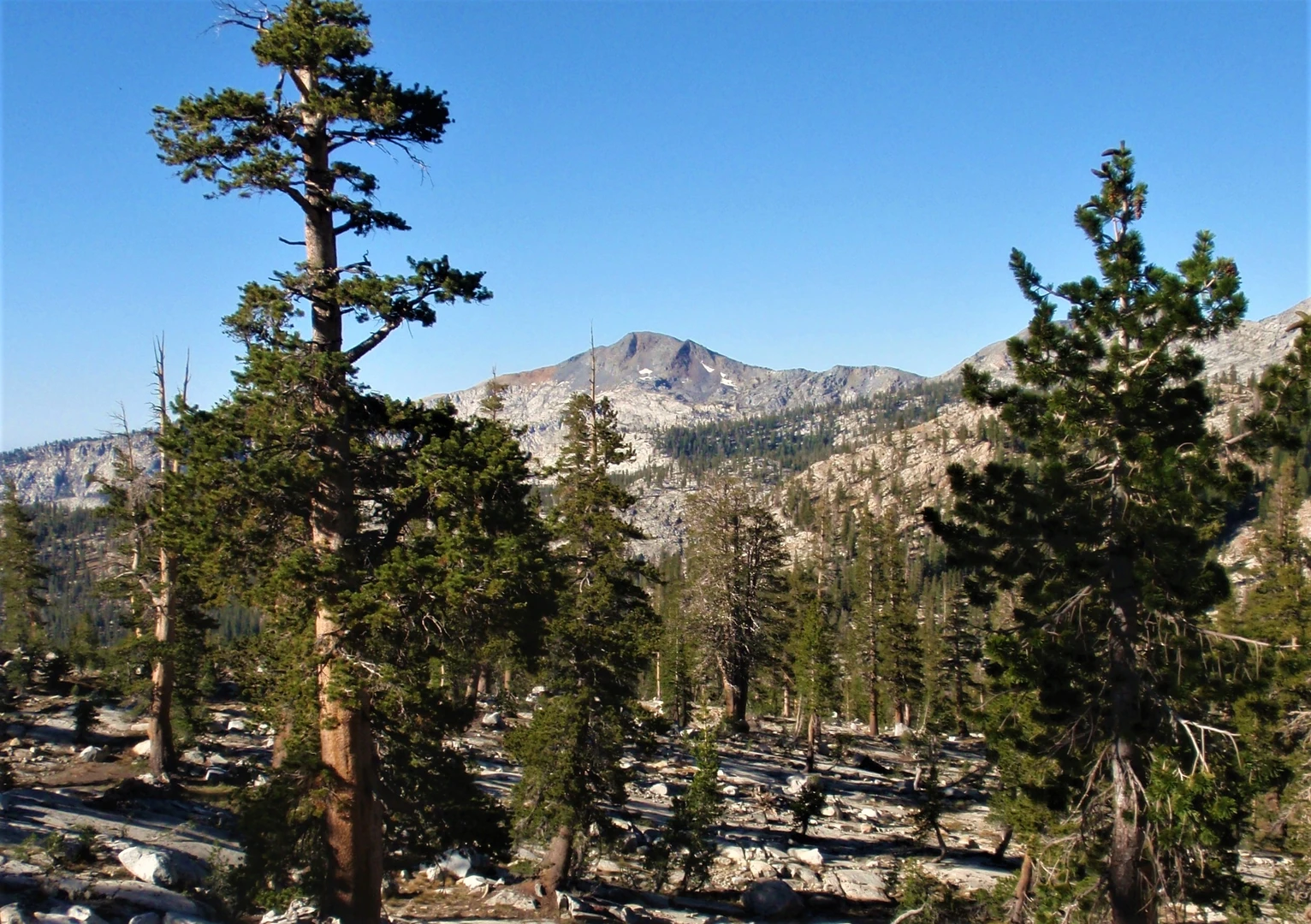 An image depicting the trail Vanderburgh Lake, Lillian Lake, Chittenden Lake and Madera Peak Loop Trail and its surrounding area.
