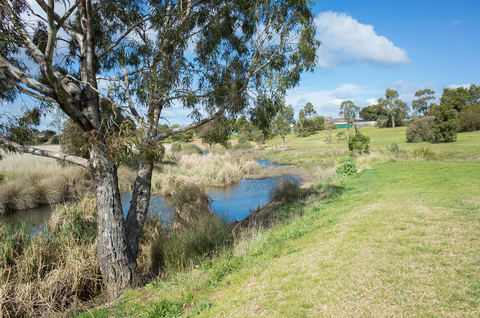 An image depicting the trail Skeleton Creek Walk from Grasslands to Wetlands and its surrounding area.