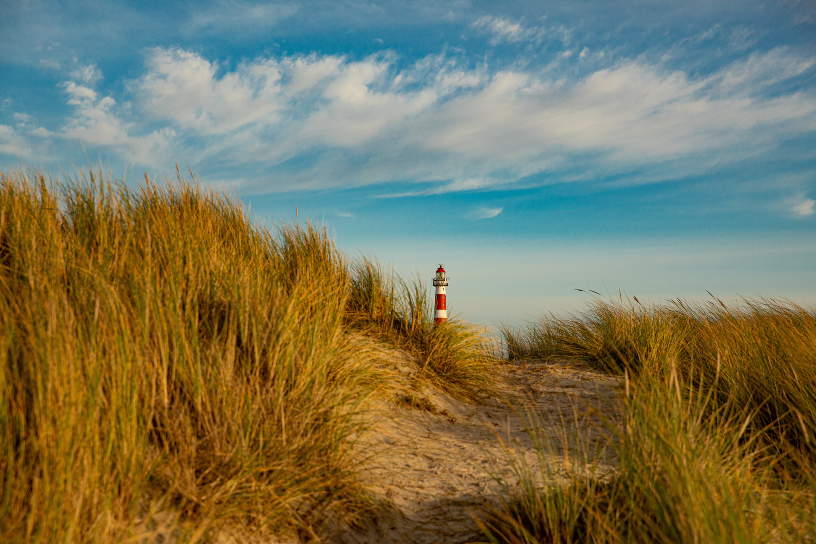 An image depicting the trail WaddenWandelen - Ameland and Strandroute Loop and its surrounding area.