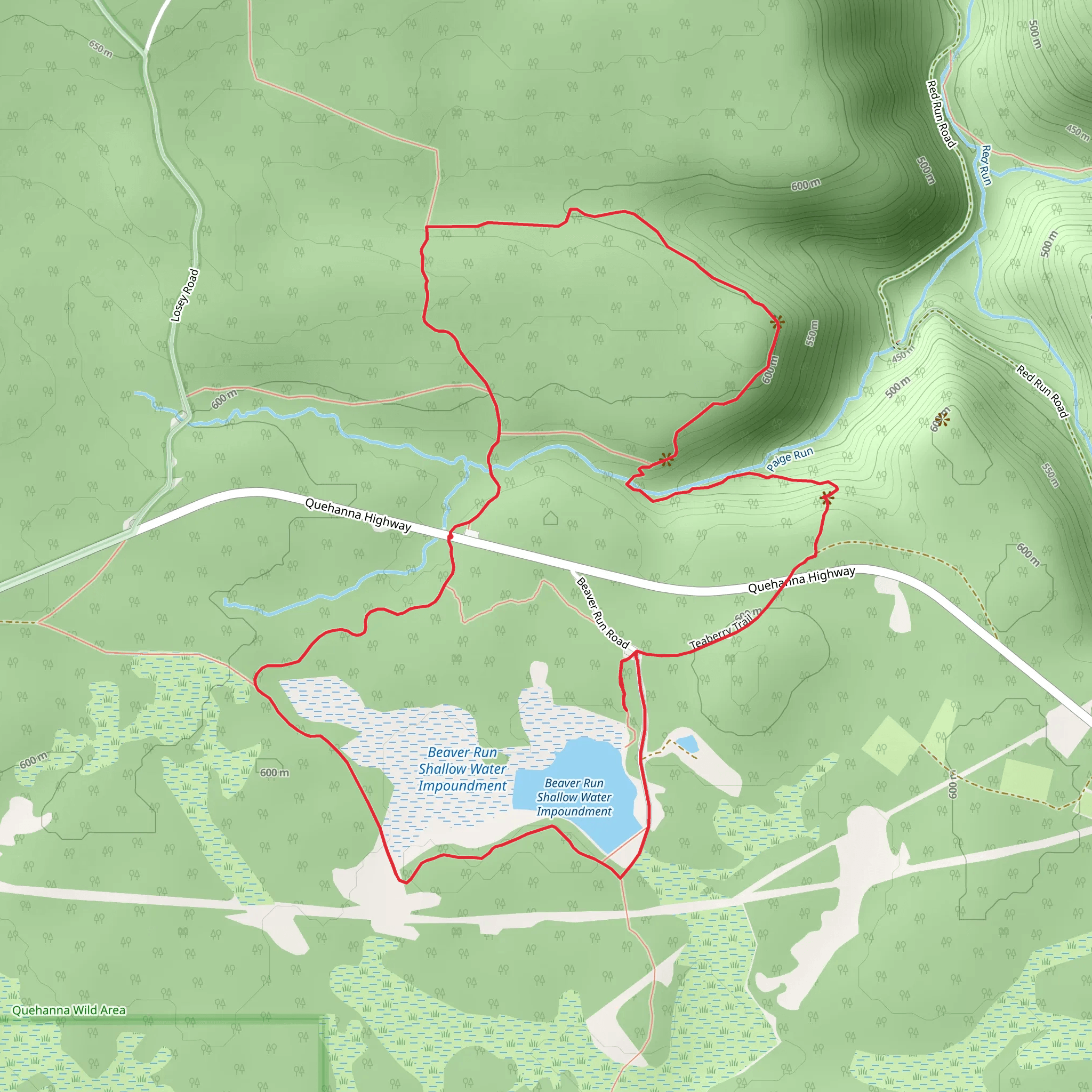 Teaberry Trail and Beaver Run Shallow Water Impoundment Loop Trail mobile static map